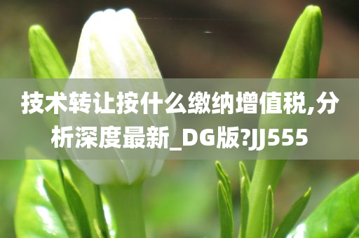 技术转让按什么缴纳增值税,分析深度最新_DG版?JJ555