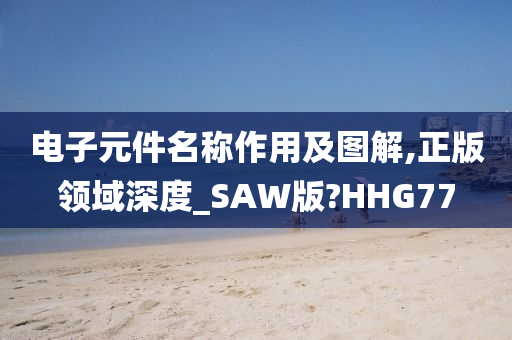 电子元件名称作用及图解,正版领域深度_SAW版?HHG77