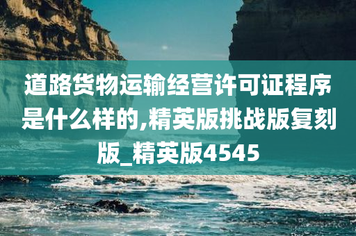 道路货物运输经营许可证程序是什么样的,精英版挑战版复刻版_精英版4545