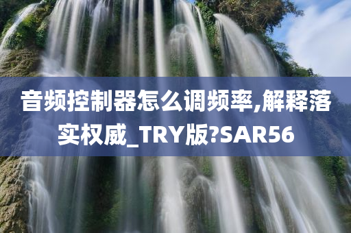 音频控制器怎么调频率,解释落实权威_TRY版?SAR56