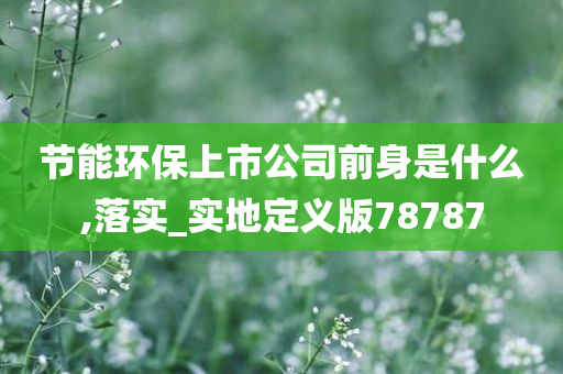 节能环保上市公司前身是什么,落实_实地定义版78787