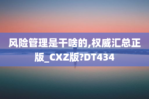 风险管理是干啥的,权威汇总正版_CXZ版?DT434