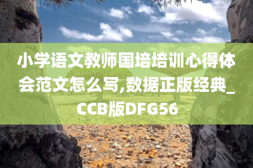 小学语文教师国培培训心得体会范文怎么写,数据正版经典_CCB版DFG56