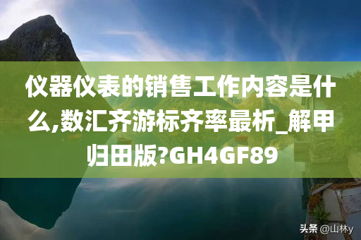 仪器仪表的销售工作内容是什么,数汇齐游标齐率最析_解甲归田版?GH4GF89