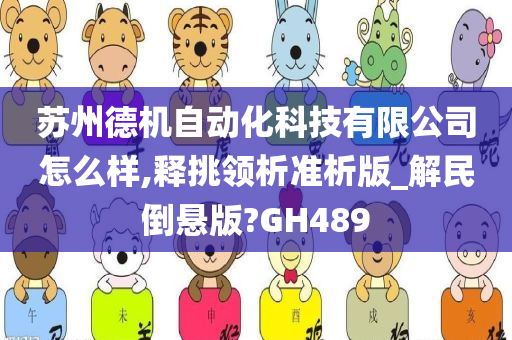 苏州德机自动化科技有限公司怎么样,释挑领析准析版_解民倒悬版?GH489