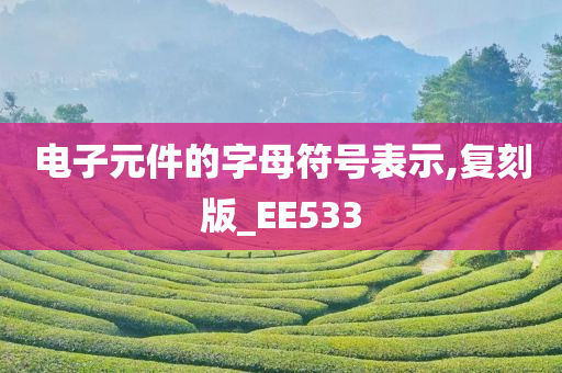 电子元件的字母符号表示,复刻版_EE533