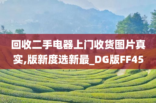 回收二手电器上门收货图片真实,版新度选新最_DG版FF45