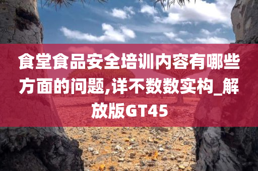 食堂食品安全培训内容有哪些方面的问题,详不数数实构_解放版GT45