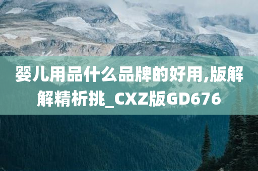 婴儿用品什么品牌的好用,版解解精析挑_CXZ版GD676