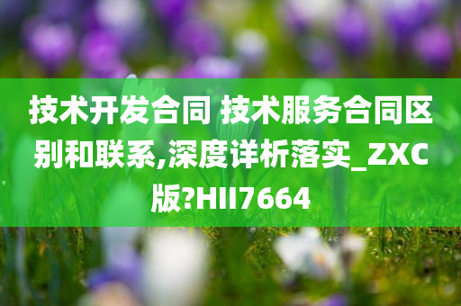 技术开发合同 技术服务合同区别和联系,深度详析落实_ZXC版?HII7664