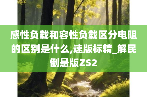 感性负载和容性负载区分电阻的区别是什么,速版标精_解民倒悬版ZS2