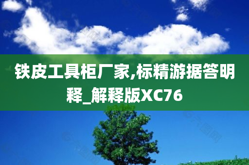 铁皮工具柜厂家,标精游据答明释_解释版XC76