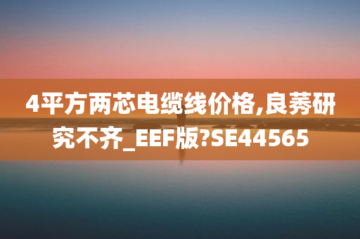 4平方两芯电缆线价格,良莠研究不齐_EEF版?SE44565