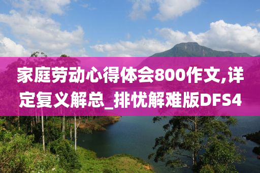 家庭劳动心得体会800作文,详定复义解总_排忧解难版DFS4