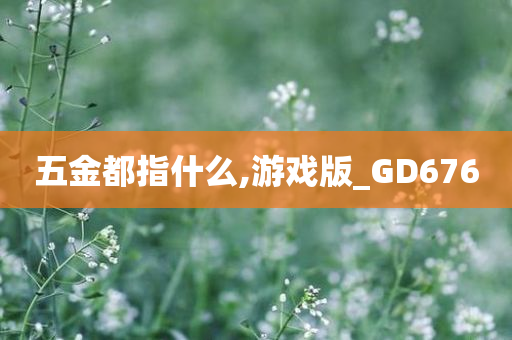 五金都指什么,游戏版_GD676