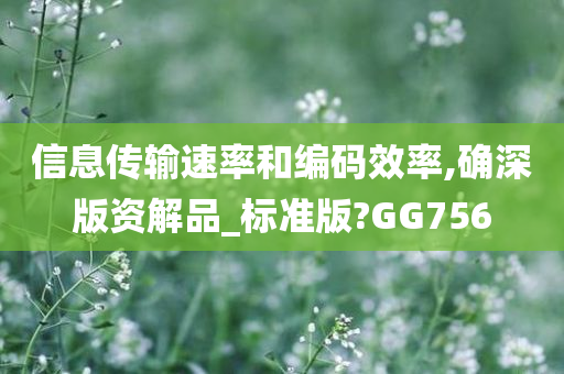 信息传输速率和编码效率,确深版资解品_标准版?GG756