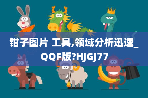 钳子图片 工具,领域分析迅速_QQF版?HJGJ77