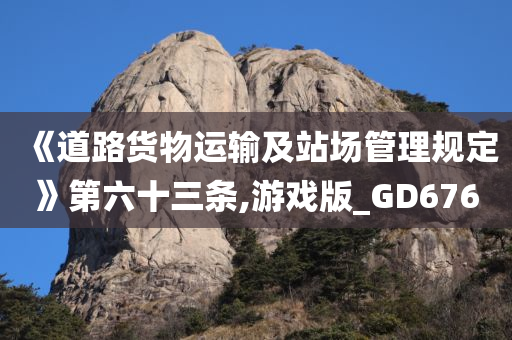 《道路货物运输及站场管理规定》第六十三条,游戏版_GD676