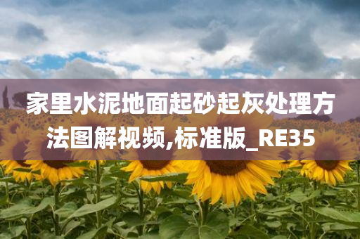 家里水泥地面起砂起灰处理方法图解视频,标准版_RE35