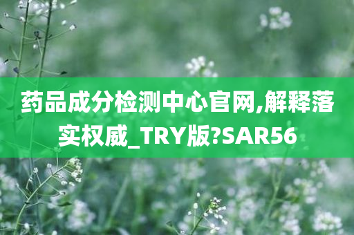 药品成分检测中心官网,解释落实权威_TRY版?SAR56