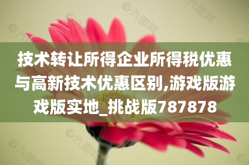 技术转让所得企业所得税优惠与高新技术优惠区别,游戏版游戏版实地_挑战版787878