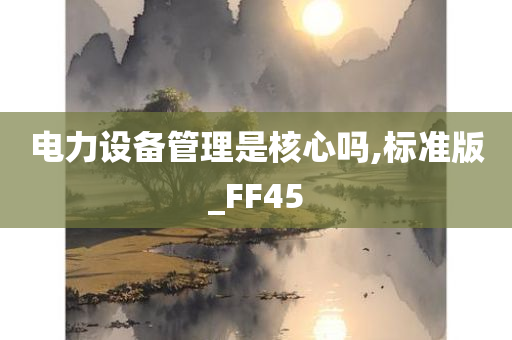 电力设备管理是核心吗,标准版_FF45