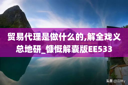 贸易代理是做什么的,解全戏义总地研_慷慨解囊版EE533