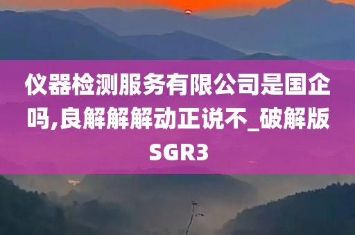 仪器检测服务有限公司是国企吗,良解解解动正说不_破解版SGR3