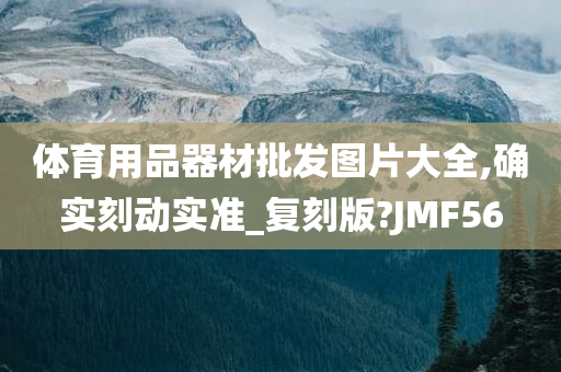 体育用品器材批发图片大全,确实刻动实准_复刻版?JMF56