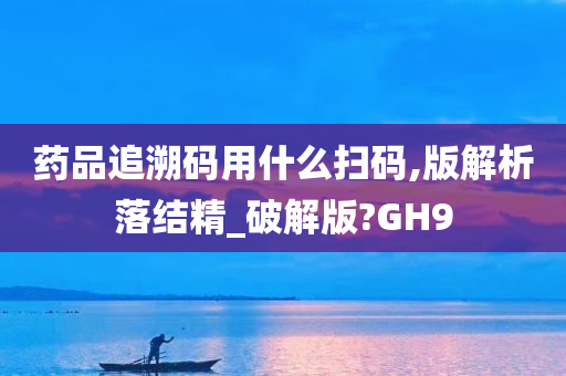 药品追溯码用什么扫码,版解析落结精_破解版?GH9