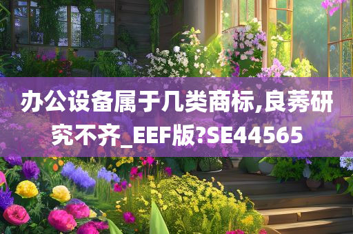 办公设备属于几类商标,良莠研究不齐_EEF版?SE44565