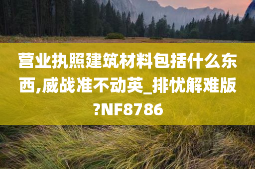 营业执照建筑材料包括什么东西,威战准不动英_排忧解难版?NF8786