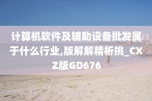 计算机软件及辅助设备批发属于什么行业,版解解精析挑_CXZ版GD676