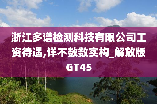 浙江多谱检测科技有限公司工资待遇,详不数数实构_解放版GT45