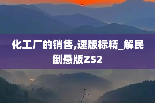 化工厂的销售,速版标精_解民倒悬版ZS2