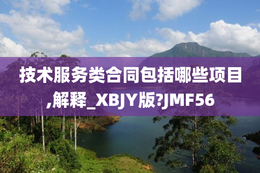 技术服务类合同包括哪些项目,解释_XBJY版?JMF56