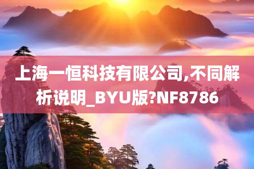 上海一恒科技有限公司,不同解析说明_BYU版?NF8786