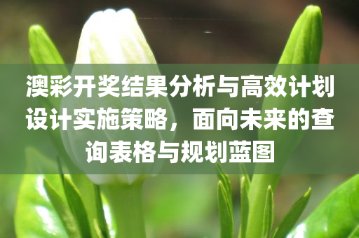 澳彩开奖结果分析与高效计划设计实施策略，面向未来的查询表格与规划蓝图