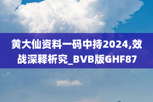 黄大仙资料一码中持2024,效战深释析究_BVB版GHF87