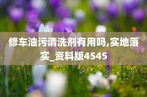 修车油污清洗剂有用吗,实地落实_资料版4545