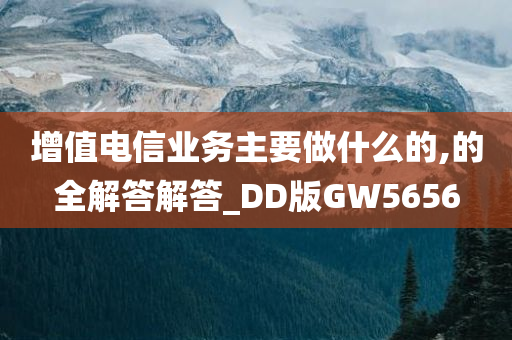 增值电信业务主要做什么的,的全解答解答_DD版GW5656