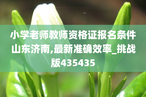 小学老师教师资格证报名条件山东济南,最新准确效率_挑战版435435