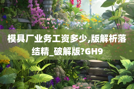 模具厂业务工资多少,版解析落结精_破解版?GH9