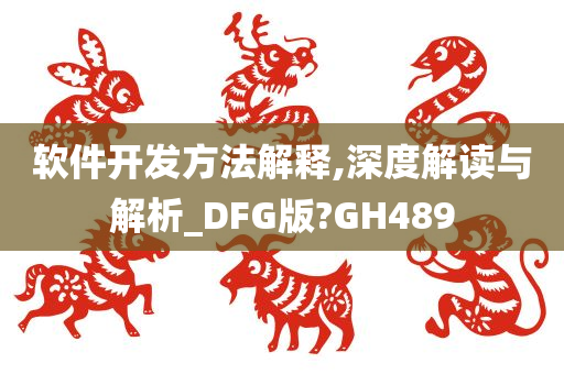 软件开发方法解释,深度解读与解析_DFG版?GH489