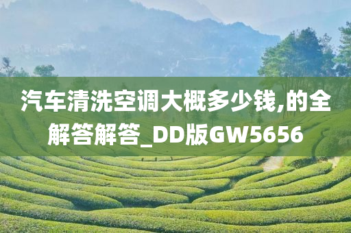 汽车清洗空调大概多少钱,的全解答解答_DD版GW5656