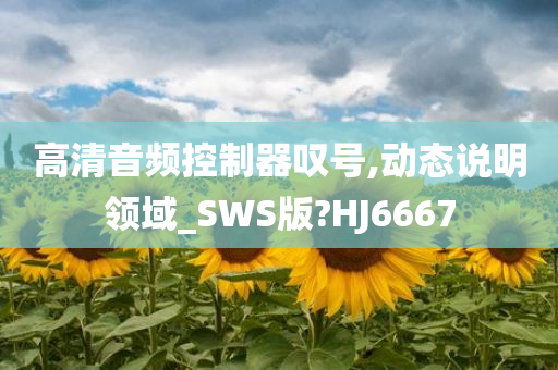 高清音频控制器叹号,动态说明领域_SWS版?HJ6667