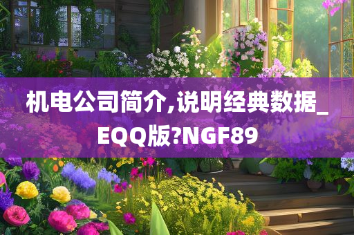 机电公司简介,说明经典数据_EQQ版?NGF89