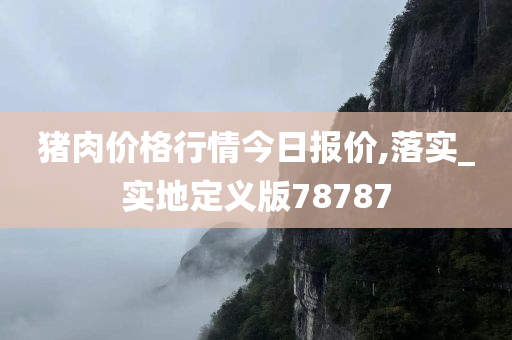 猪肉价格行情今日报价,落实_实地定义版78787