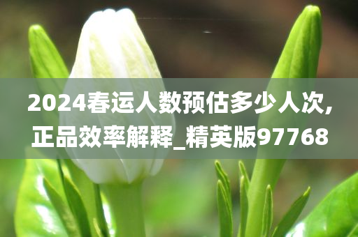 2024春运人数预估多少人次,正品效率解释_精英版97768