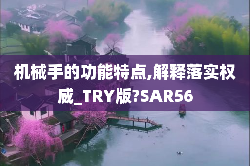 机械手的功能特点,解释落实权威_TRY版?SAR56